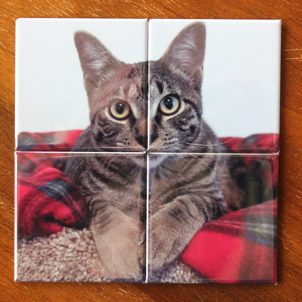 Photo Puzzle Magnets
