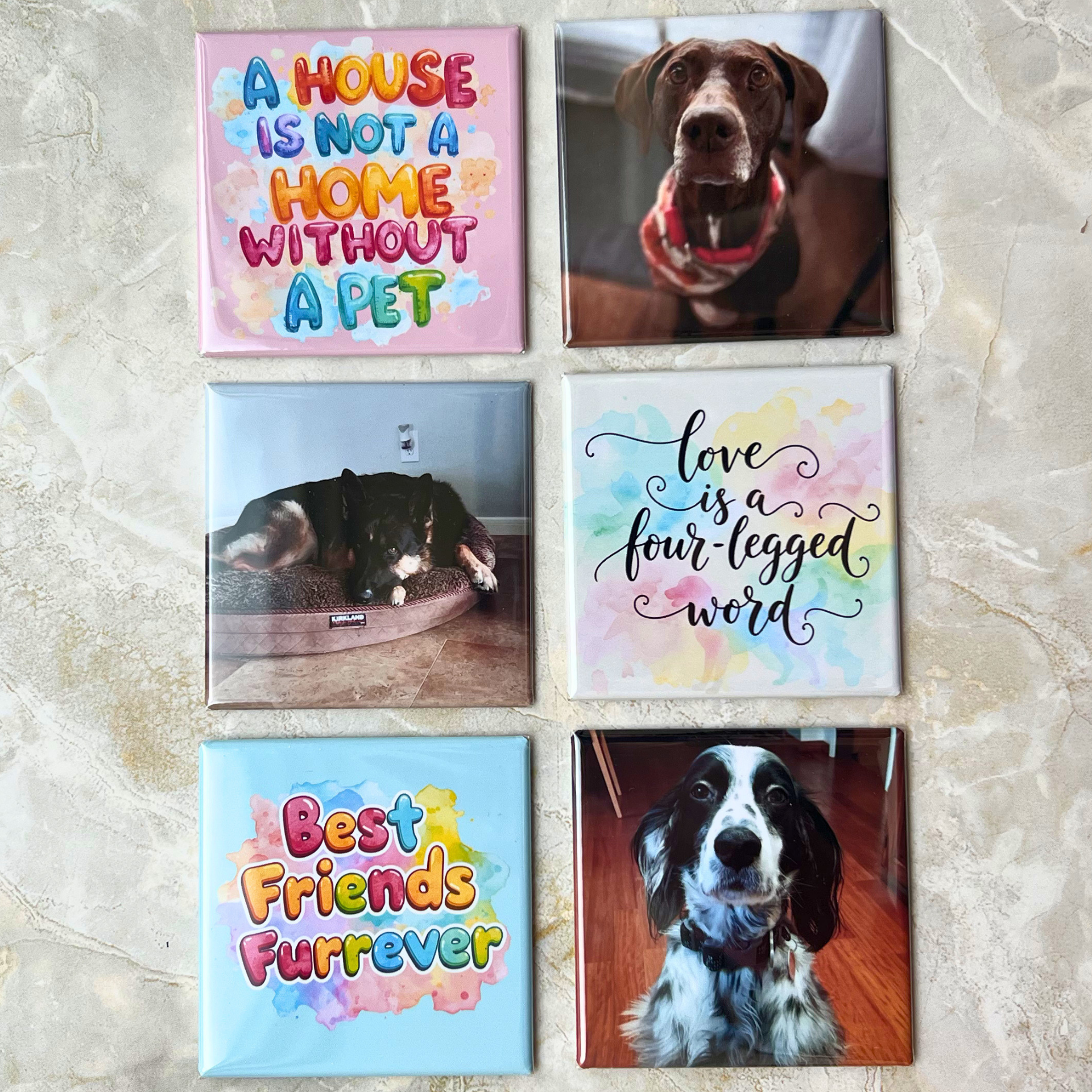 Custom Pet Photo Magnets