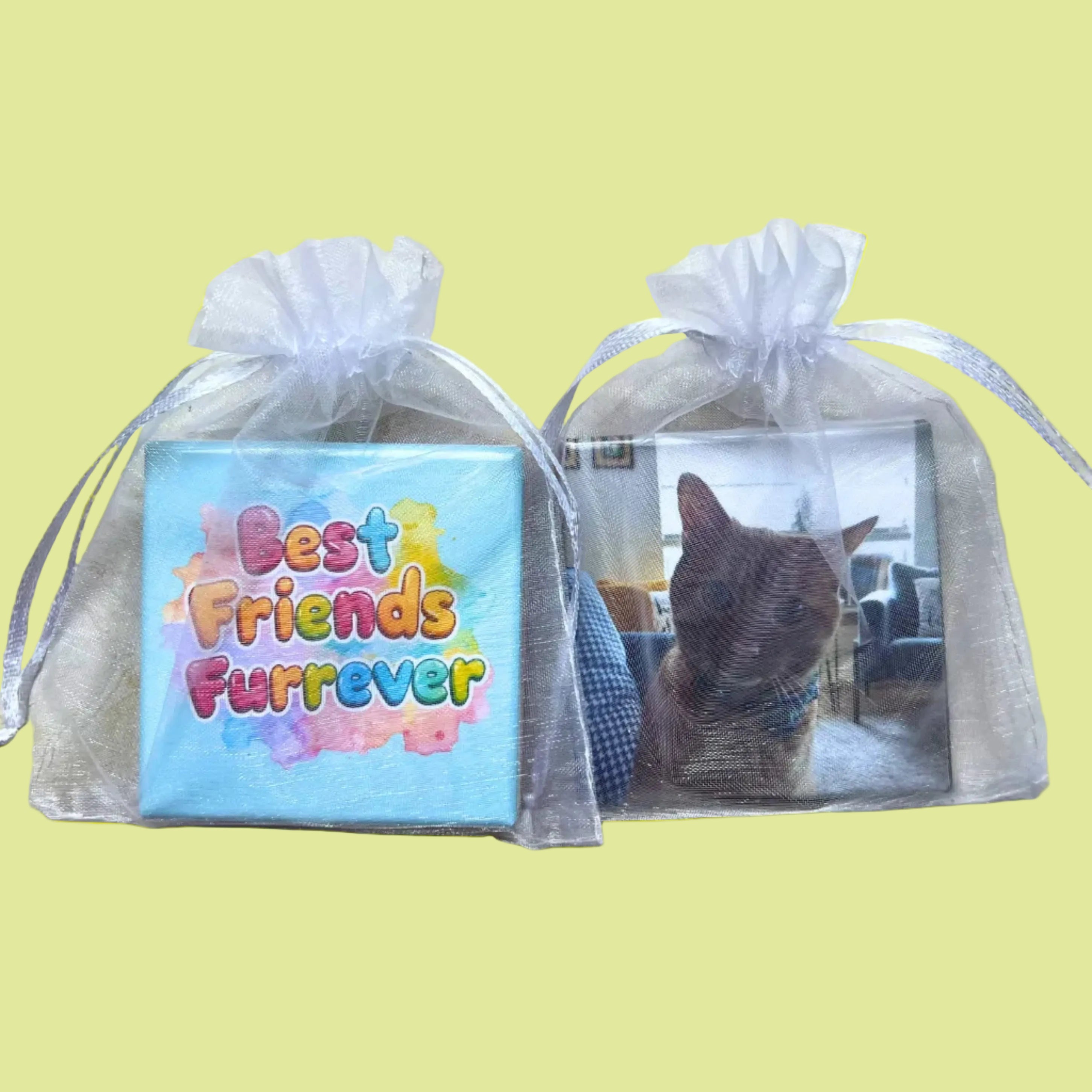 Custom Pet Photo Magnets