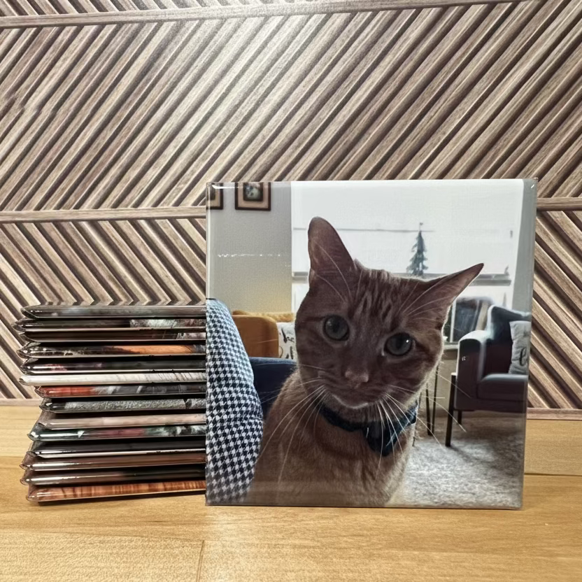 Stack of custom pet photo magnets with an orange tabby cat close-up – 2.5 inch square photo magnets by Spellbound Magnet Co.