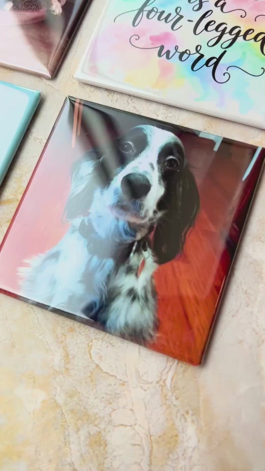 Custom Pet Photo Magnets